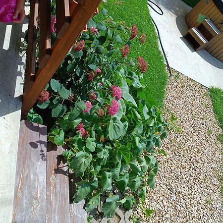 Gospodarstwo Agroturystyczne U Stasikow Spytkowice  Dış mekan fotoğraf