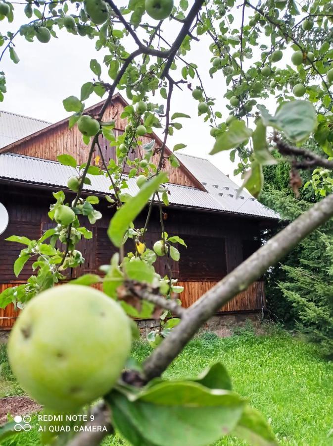 Gospodarstwo Agroturystyczne U Stasikow Spytkowice  Dış mekan fotoğraf